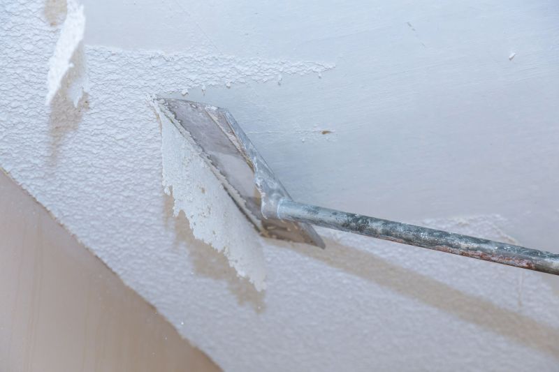 Ceiling Removal Service in Denver County, CO
