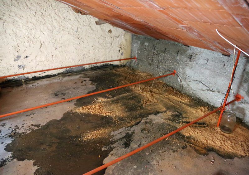 Crawl Space Remediation in Littleton, CO